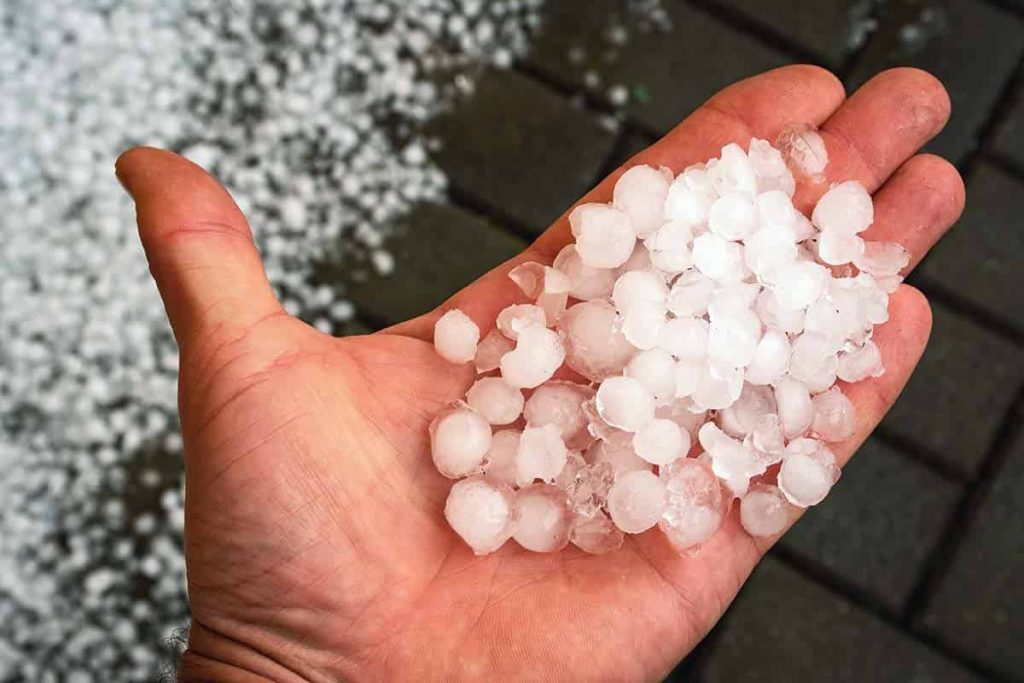 Large Hailstones in a man's hand