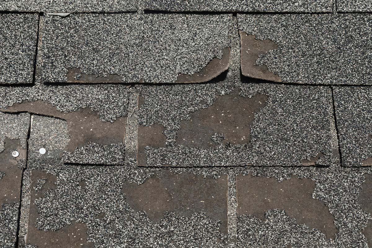 Close-up of worn and peeling asphalt shingles, a common sign that it’s time for a roof replacement